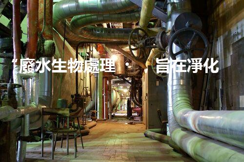 “廢水生物處理，旨在凈化水源，守護碧水藍天”